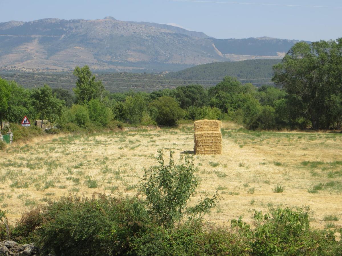 Casa Rural El Remolon Pinuecar 外观 照片